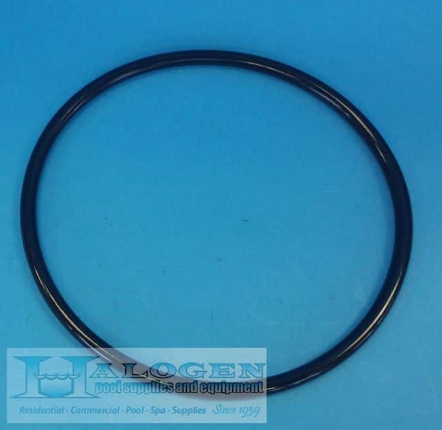 Pump Lid O-Ring