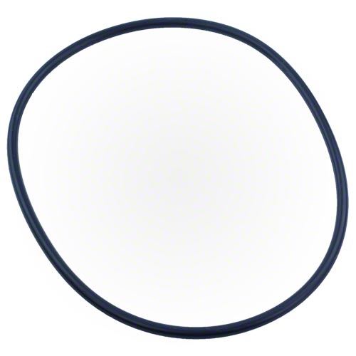 Pentair XF Series Pump Seal Plate O-Ring 351446Z
