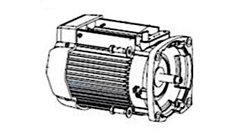 Sta-Rite Motor VS, Black - 353135S