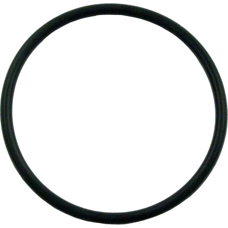 Pentair 355330 Tagelus / Challenger Strainer Pot Flange O-Ring (355330Z)