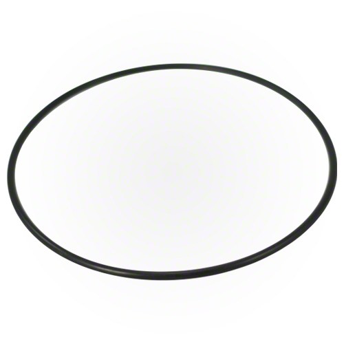 Pentair O-ring 355619Z