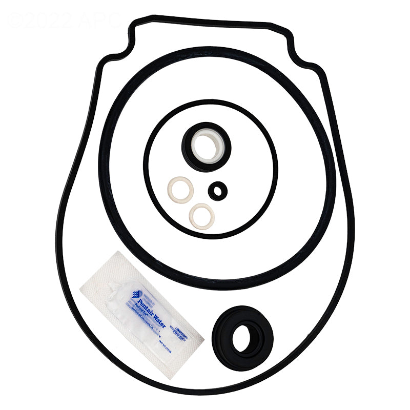 Pentair Seal Set WhisperFlo/IntelliFlo | 356198
