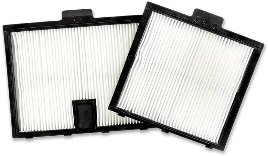 Pentair Prowler 917 Pleated Filter (2 Pack) - 360528