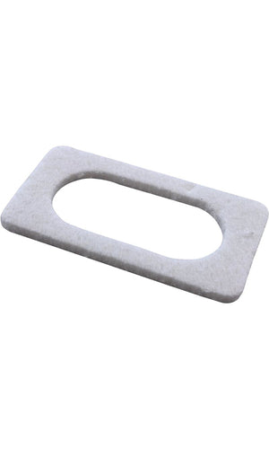 Pentair Ignitor Gasket - 42001-0066S
