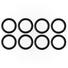 Pentair Coil Tubesheet Sealing O-Ring Kit 250k - 460749