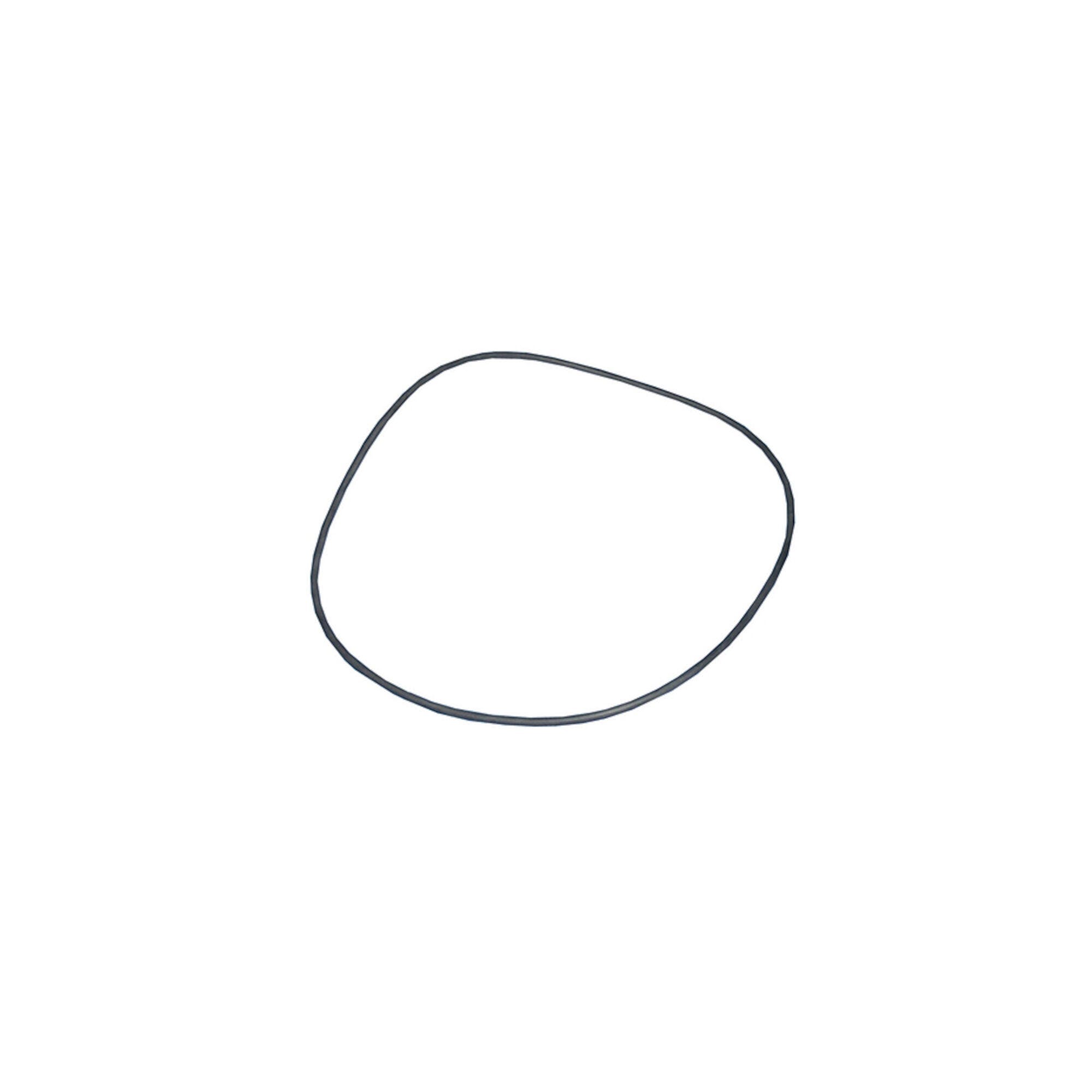 Sundance Jacuzzi O-Ring 6000-154