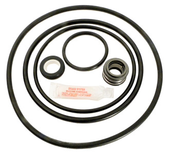 Pentair Sta-Rite J-Series Pump Repair Kit, APCK1043