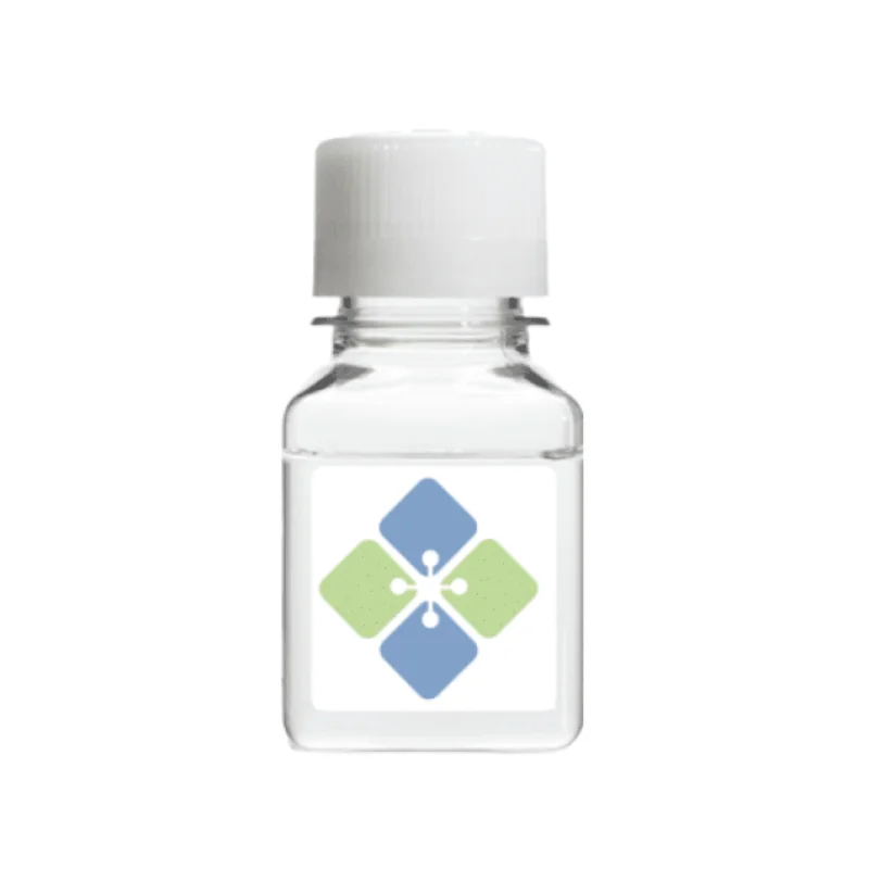 7-Deaza-2'-deoxyguanosine-5'-Triphosphate