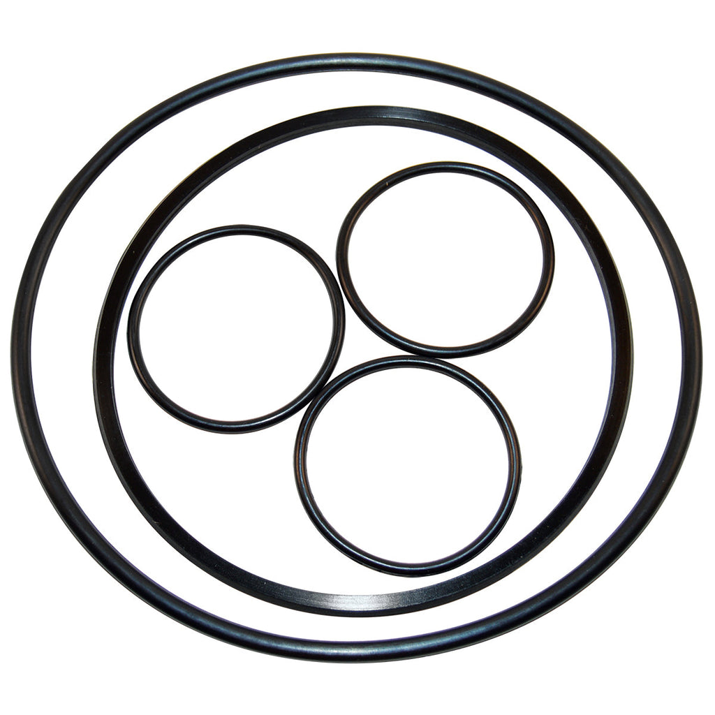 Hayward VLX4004A - VL Series O-Ring Kit
