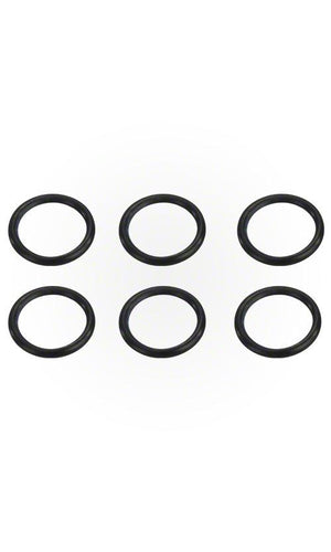 Pentair Coil Tubesheet Sealing O-Ring Kit 175/200k - 77707-0117