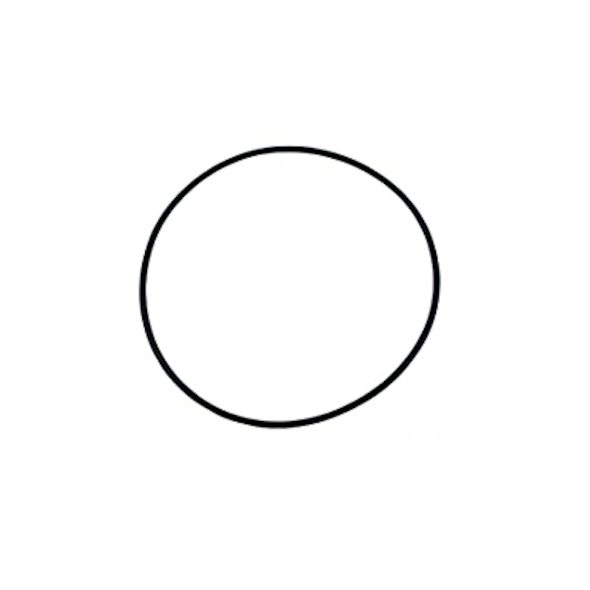 Waterway O-Ring 805-0256