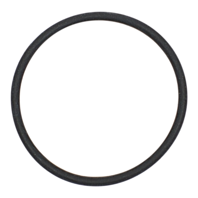 Polaris 9-100-5132 - Feed Pipe O-Ring
