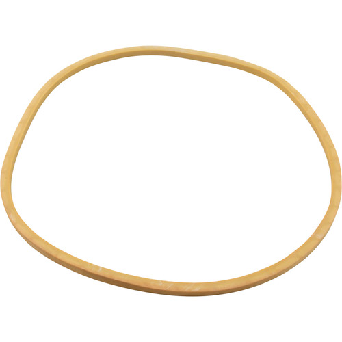 Gasket Pentair/Amer Prod Separtaion Tank Lid Generic 90-423-2100