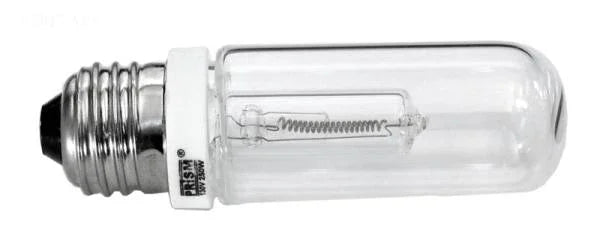HOT DOG BULB