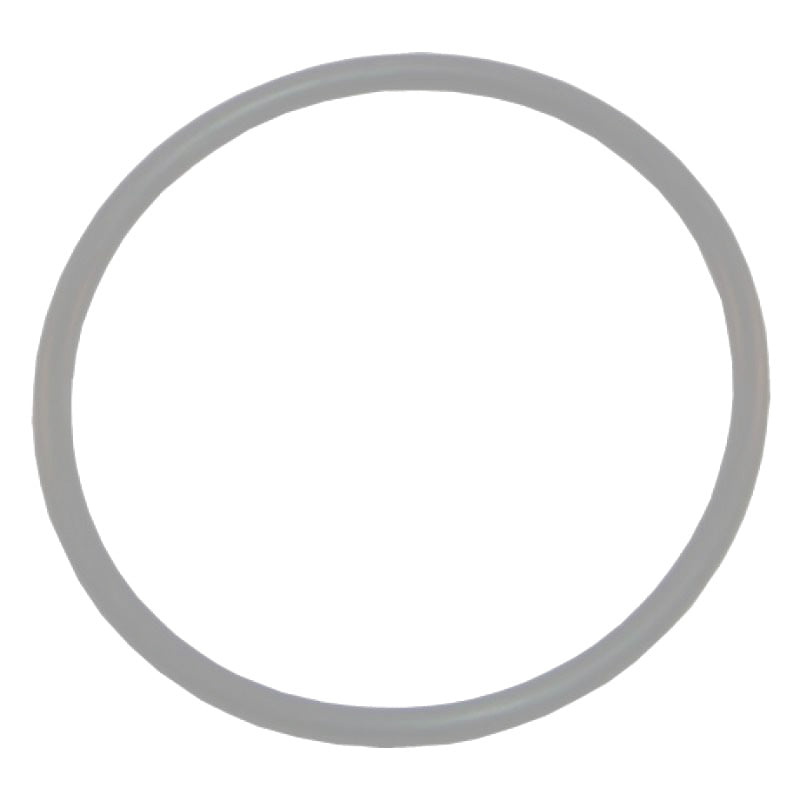 AquaLamp LED Bulb O-Ring - AL4S