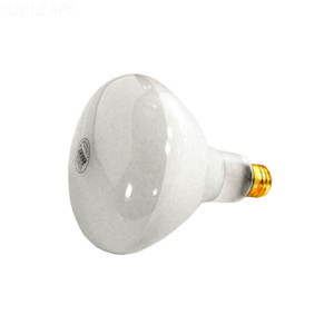 APC Pool Light Bulb 500W, 120V, APC120500M