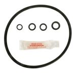 Hayward CL200 Oring Kit