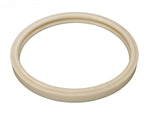 Pentair Amerlite Pool Light Pool Light Lens Generic Gasket 79101600Z