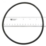 Hayward CX120D O-Ring Fits C250 Micro Star-Clear Filter