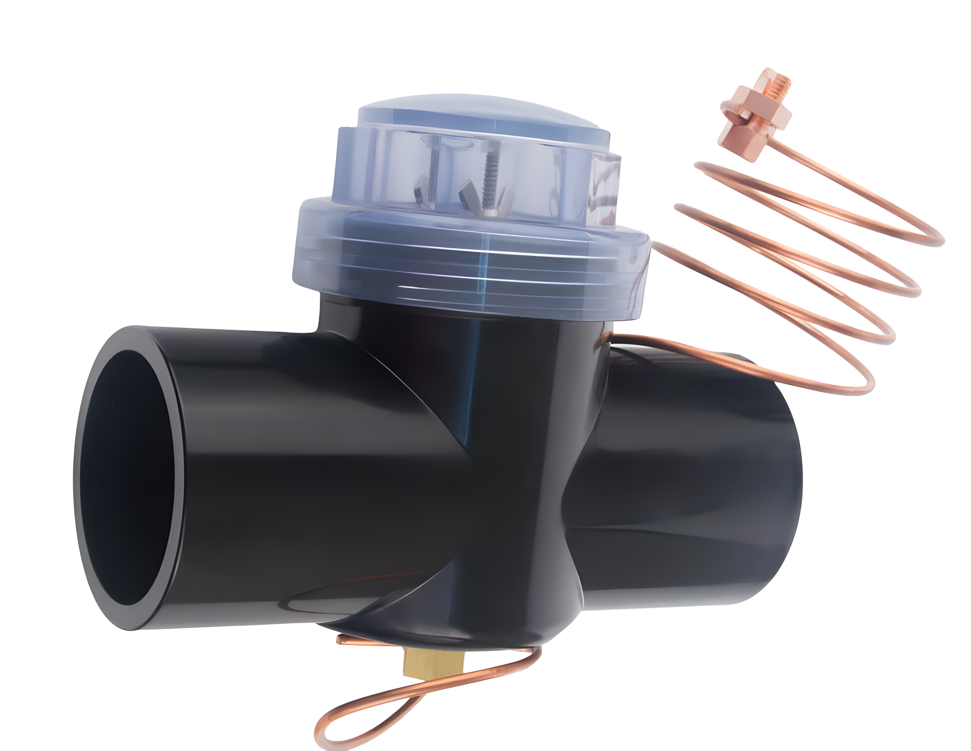 CMP Pool Defender Inline Zinc Anode | 25810-400-050