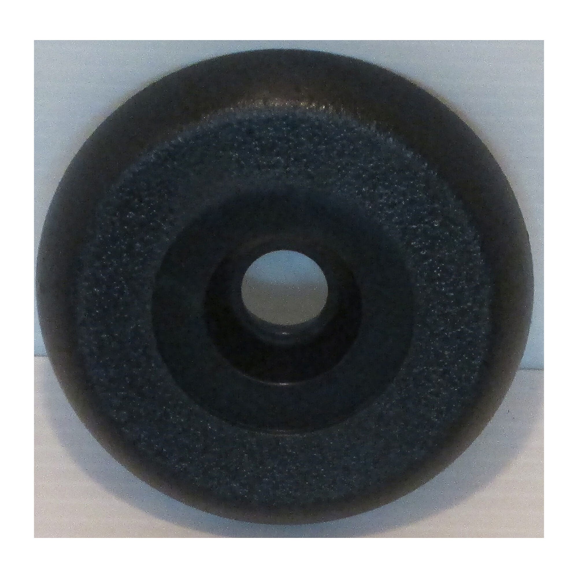 Waterway Diverter Valve DY6024341