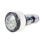 Pentair Microbrite White LED 12V 100FT EC-620429 Cord