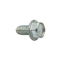 Zodiac Laars Retainer Bracket Screw, F0009100