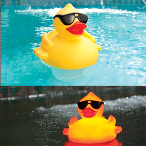 GAME Solar Lighted Derby Duck Floating Chlorinator | 8002