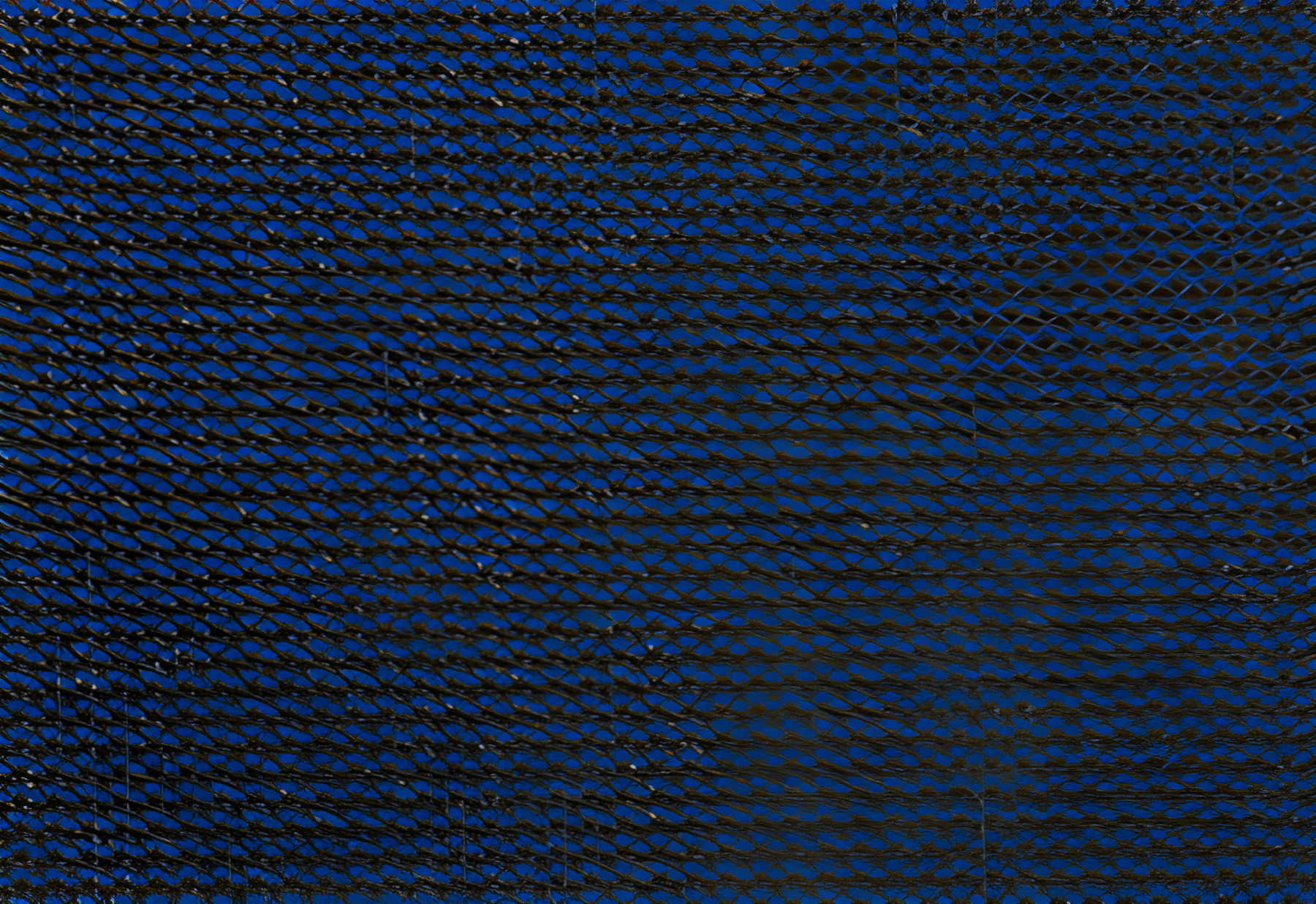 GLI 12' x 24' Rectangle Mesh Safety Cover, Blue | 20-1224RE-SAP-BLU