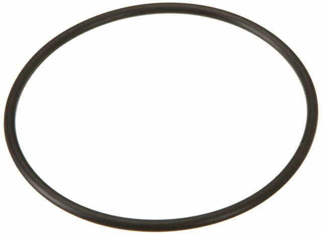 Hayward Salt & Swim Cell O-Ring - GLX-DIY-ORING