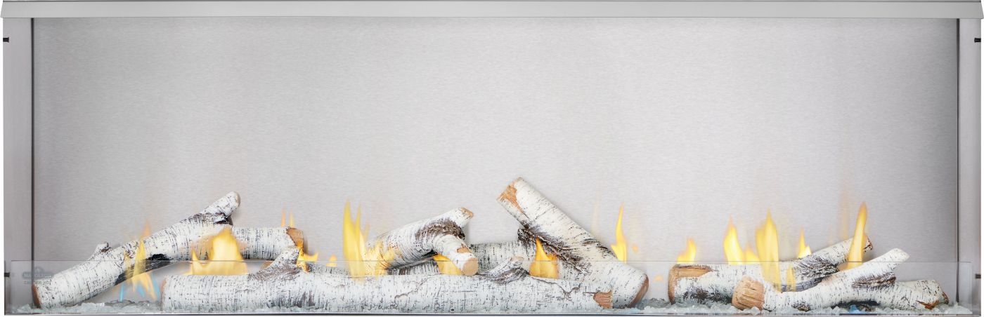 Napoleon Galaxy 62 Outdoor Fireplace, Natural Gas | GSS62NE