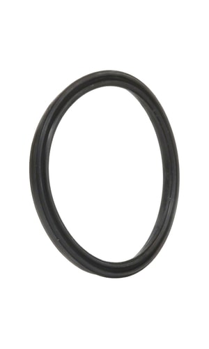 Hayward HCP 3000 Union Gasket (2 Pack) - HCXP3000UG