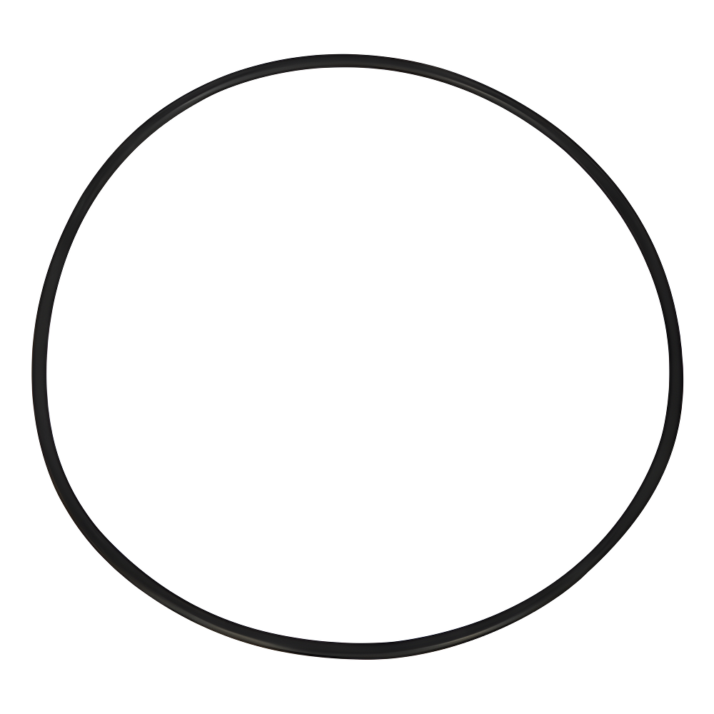 Hayward O-Ring for Filter Heads | CXFHR1001