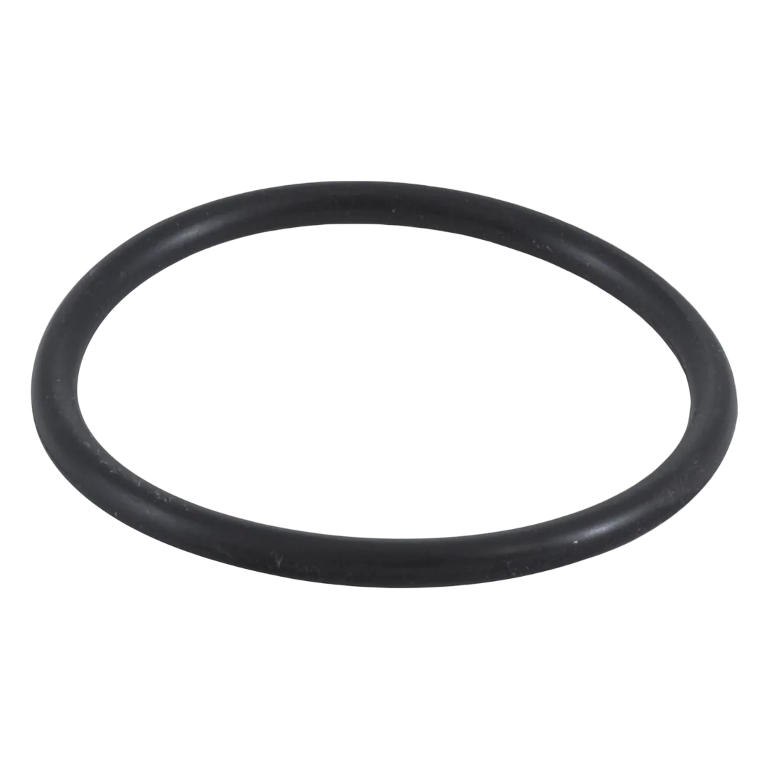 Zodiac Jandy Inlet Elbow with O-Ring