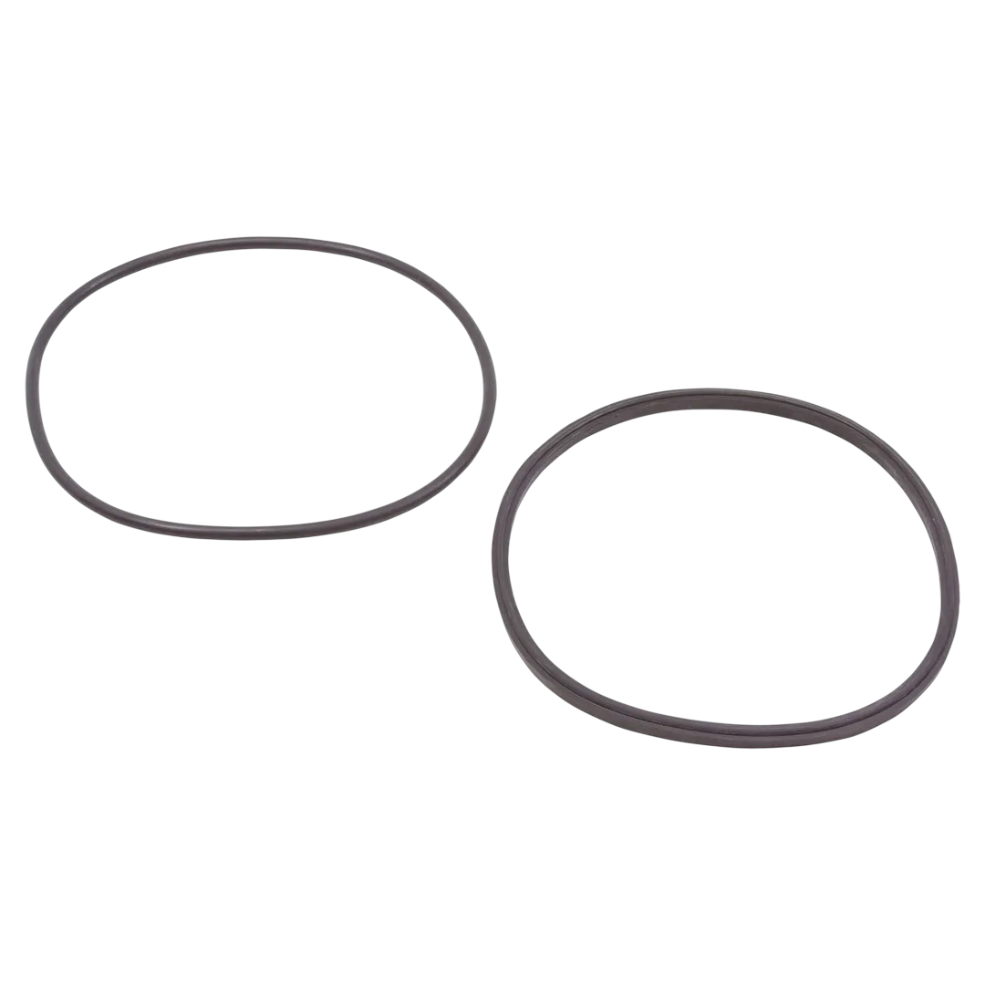 Jandy R0446200 Lid Seal and O-Ring Kit