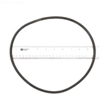 Pentair Clean & Clear Filter Tank O-Ring 87300400Z