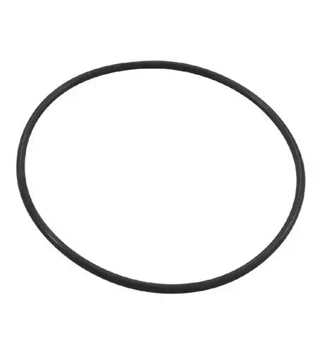 351446 Pentair WhisperFloXF & IntelliFloXF Seal Plate O-Ring Replacement351446 Pentair WhisperFloXF & IntelliFloXF Seal Plate O-Ring Replacement