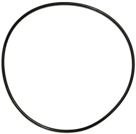 Jandy Backplate O-Ring Seal for ePump & Stealth Pumps | R0446300Jandy Backplate O-Ring Seal for ePump & Stealth Pumps | R0446300
