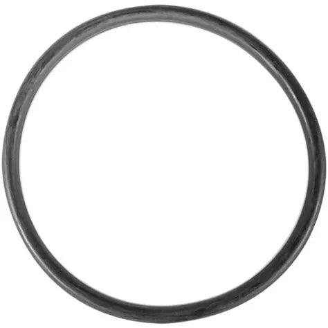 Pentair Strainer Pot & Skimmer O-Ring - Aladdin O-301 | 355330Pentair Strainer Pot & Skimmer O-Ring - Aladdin O-301 | 355330