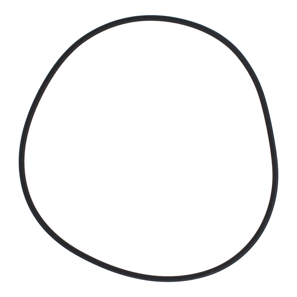 Polaris P95 - O-Ring