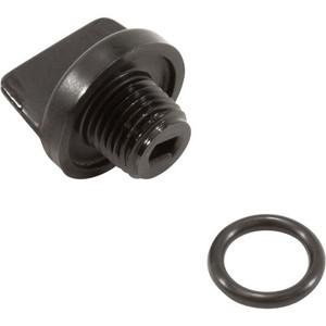 Pentair .25" MPT Drain Plug With O-Ring, U178-920PZ