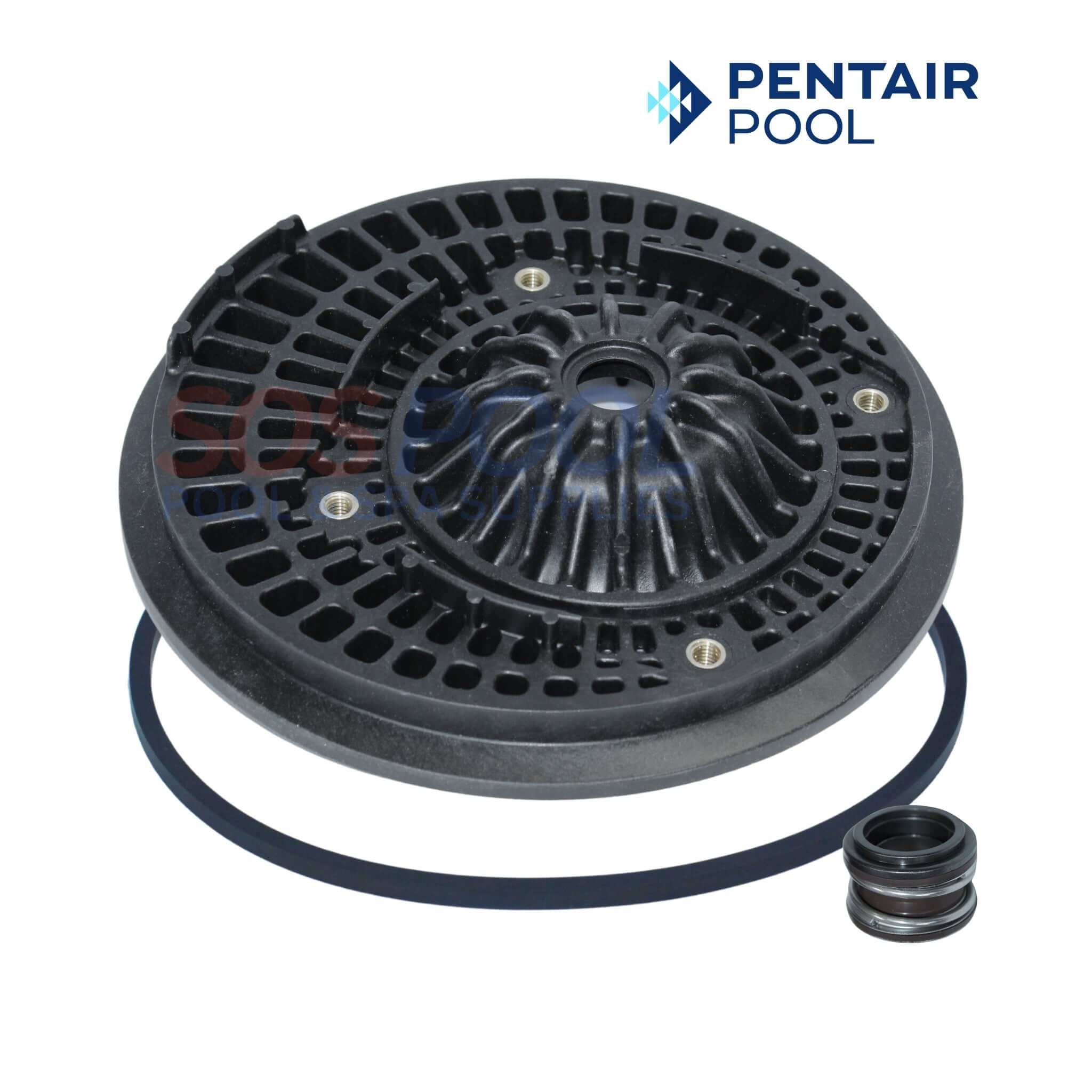 Pentair Seal Plate Kit With Viton Seal For Max-E-Pro Max-E-Glas & Dura-Glas | C203-194PV