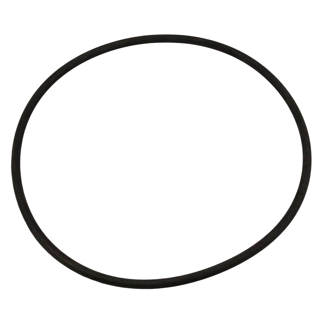 Pentair EQ Series Seal Plate O-Ring