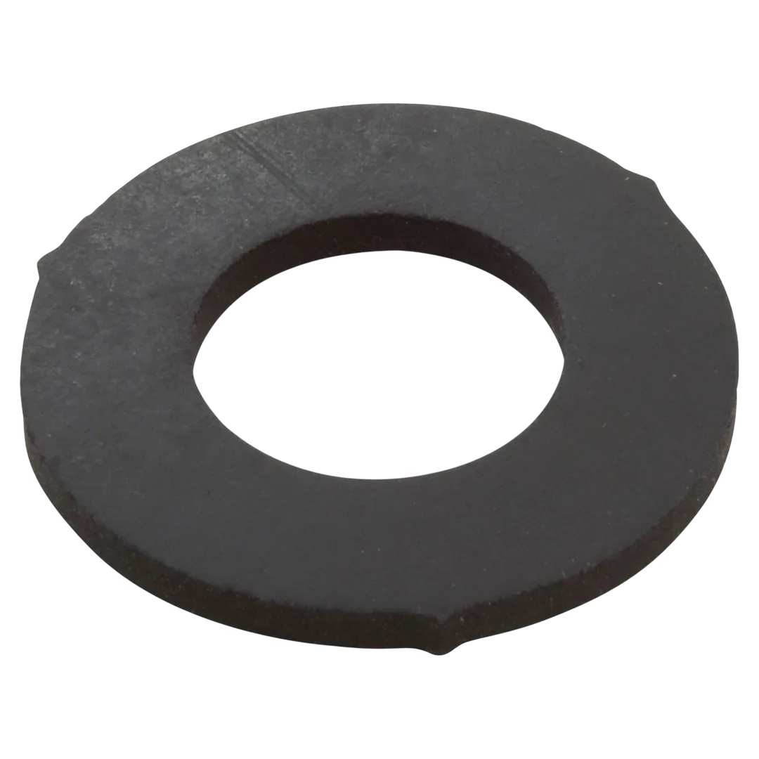 Pentair Clean and Clear Drain Cap Gasket 86300500