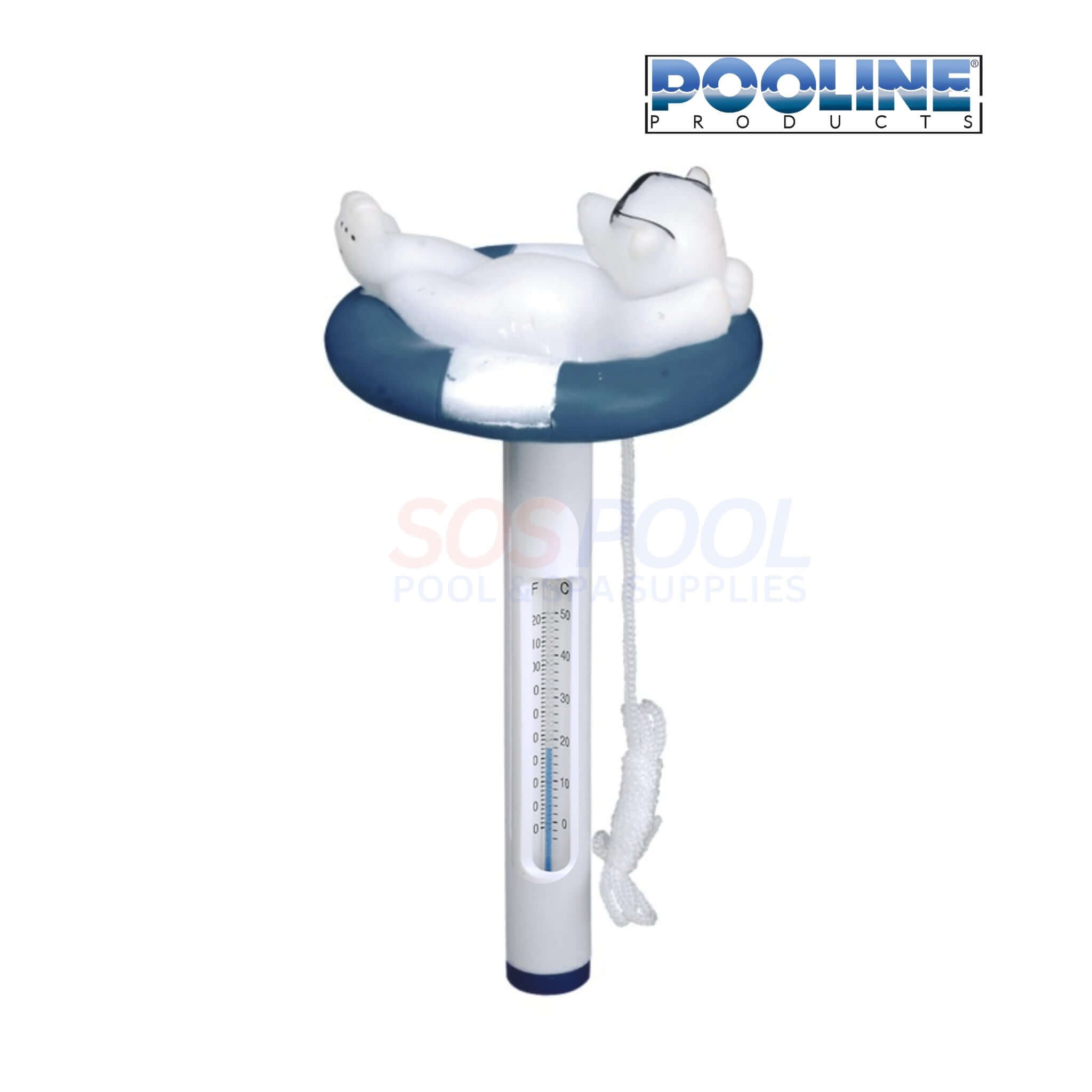 Pooline Swimming Pool and Spa Thermometer | Bear With Glasses | 11083K