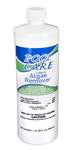 Pool Care 3 Month Algaecide | Quart Bottle
