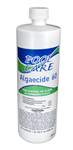 Pool Care 60% Non-Foaming Algaecide | Quart Bottle