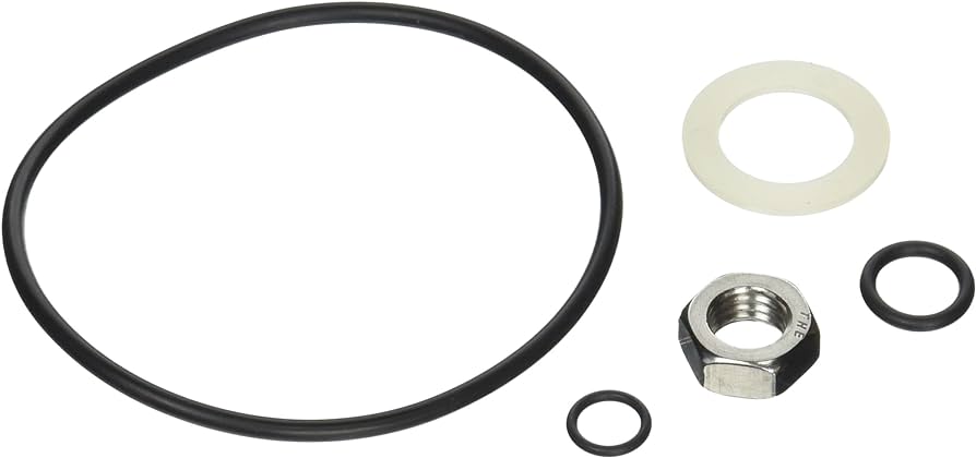 Jandy LXi | LRZ Bypass Assembly O-Ring - R0453800