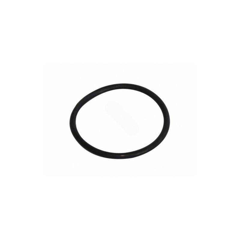 Zodiac Nature2 Fusion Small Collar O-Ring - R0586400