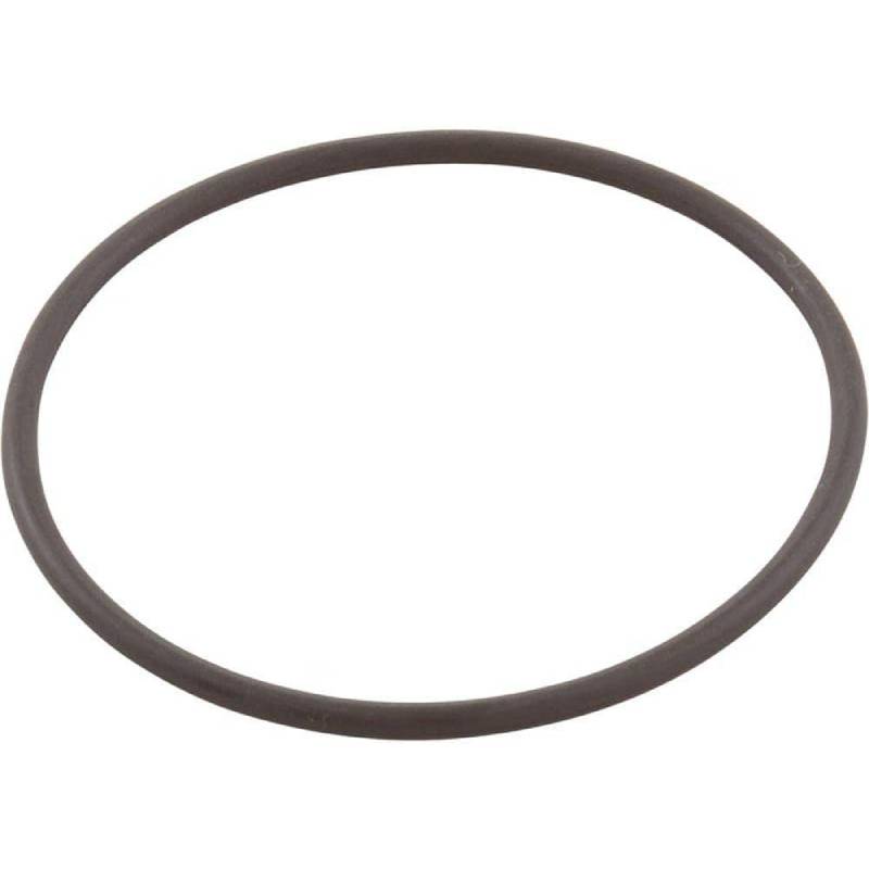 Jandy CV | CL Outlet Tube O-Ring, Filter - R0792000